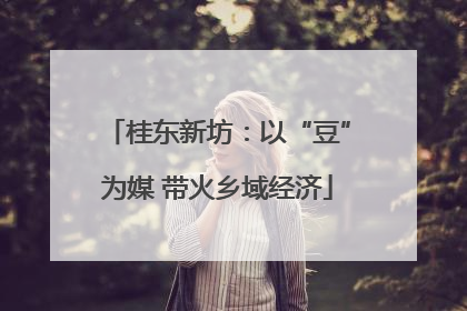 桂东新坊：以“豆”为媒 带火乡域经济