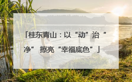 桂东青山：以“动”治“净” 擦亮“幸福底色”