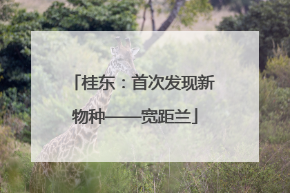 桂东：首次发现新物种——宽距兰
