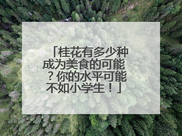 桂花有多少种成为美食的可能？你的水平可能不如小学生！
