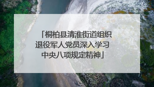 桐柏县清淮街道组织退役军人党员深入学习中央八项规定精神