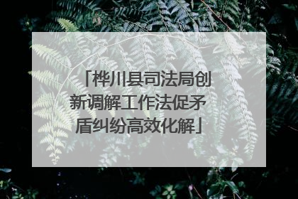 桦川县司法局创新调解工作法促矛盾纠纷高效化解
