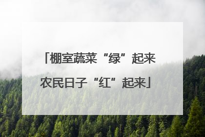 棚室蔬菜“绿”起来 农民日子“红”起来