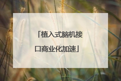 植入式脑机接口商业化加速