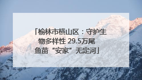 榆林市横山区：守护生物多样性 29.5万尾鱼苗“安家”无定河
