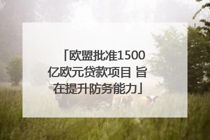 欧盟批准1500亿欧元贷款项目 旨在提升防务能力