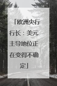 欧洲央行行长：美元主导地位正在变得不确定
