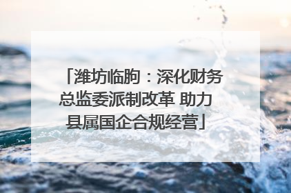 潍坊临朐：深化财务总监委派制改革 助力县属国企合规经营