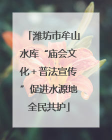 潍坊市牟山水库“庙会文化＋普法宣传”促进水源地全民共护