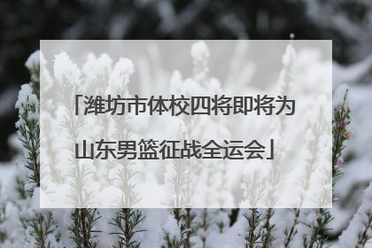 潍坊市体校四将即将为山东男篮征战全运会