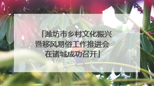 潍坊市乡村文化振兴暨移风易俗工作推进会在诸城成功召开
