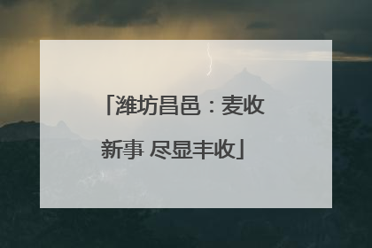 潍坊昌邑：麦收新事 尽显丰收