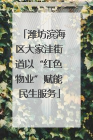 潍坊滨海区大家洼街道以“红色物业”赋能民生服务