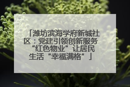 潍坊滨海学府新城社区：党建引领创新服务 “红色物业”让居民生活“幸福满格”