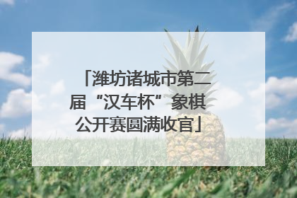 潍坊诸城市第二届“汉车杯”象棋公开赛圆满收官