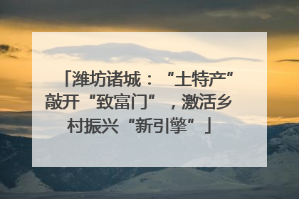 潍坊诸城：“土特产”敲开“致富门”，激活乡村振兴“新引擎”