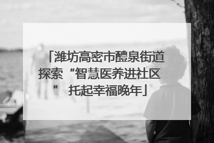 潍坊高密市醴泉街道探索“智慧医养进社区” 托起幸福晚年