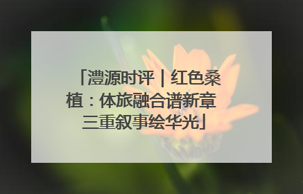 澧源时评｜红色桑植：体旅融合谱新章 三重叙事绘华光