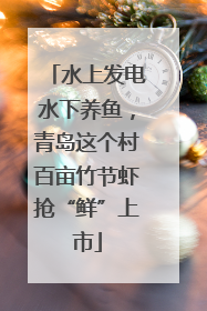水上发电水下养鱼，青岛这个村百亩竹节虾抢“鲜”上市