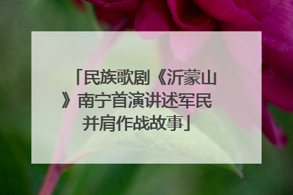 民族歌剧《沂蒙山》南宁首演讲述军民并肩作战故事