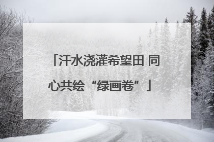 汗水浇灌希望田 同心共绘“绿画卷”