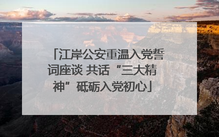 江岸公安重温入党誓词座谈 共话“三大精神”砥砺入党初心