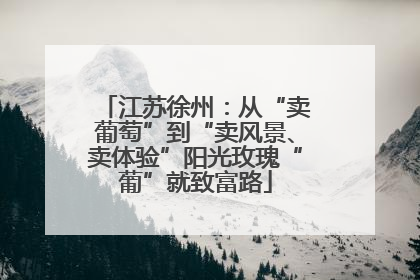 江苏徐州：从“卖葡萄”到“卖风景、卖体验”阳光玫瑰“葡”就致富路
