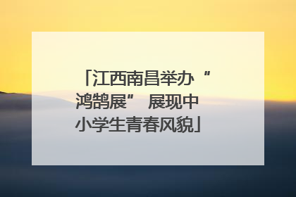 江西南昌举办“鸿鹄展” 展现中小学生青春风貌