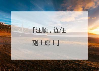 汪顺，连任副主席！