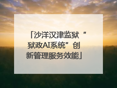 沙洋汉津监狱“狱政AI系统”创新管理服务效能