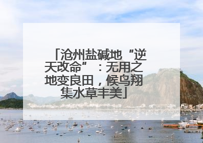 沧州盐碱地“逆天改命”：无用之地变良田，候鸟翔集水草丰美