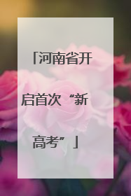 河南省开启首次“新高考”