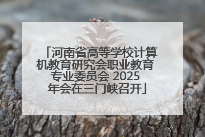 河南省高等学校计算机教育研究会职业教育专业委员会 2025 年会在三门峡召开