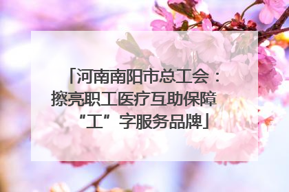 河南南阳市总工会：擦亮职工医疗互助保障“工”字服务品牌