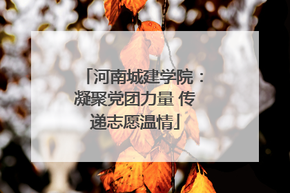 河南城建学院：凝聚党团力量 传递志愿温情