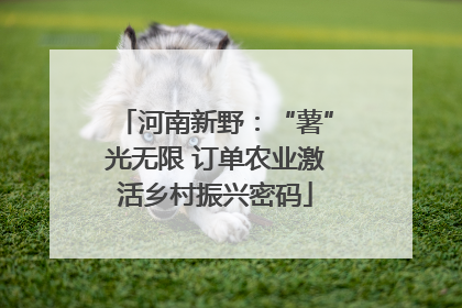 河南新野：“薯”光无限 订单农业激活乡村振兴密码
