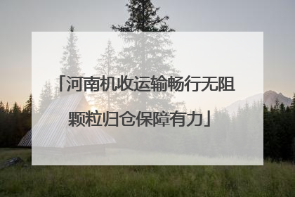 河南机收运输畅行无阻 颗粒归仓保障有力