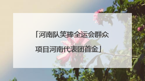 河南队笑捧全运会群众项目河南代表团首金