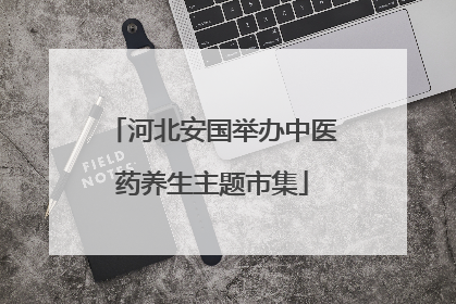 河北安国举办中医药养生主题市集