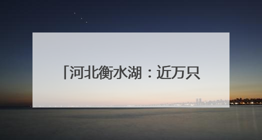 河北衡水湖：近万只夏候鸟进入繁殖期