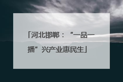 河北邯郸：“一品一播”兴产业惠民生