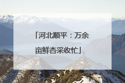河北顺平：万余亩鲜杏采收忙