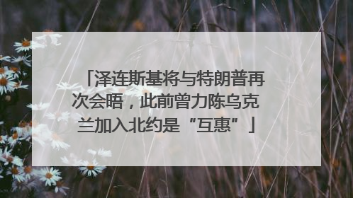 泽连斯基将与特朗普再次会晤，此前曾力陈乌克兰加入北约是“互惠”