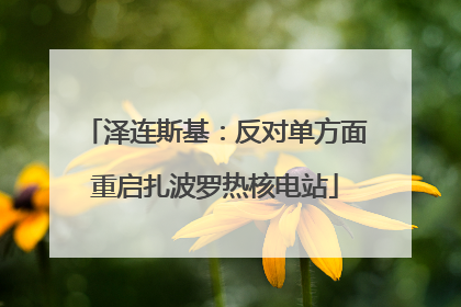 泽连斯基：反对单方面重启扎波罗热核电站