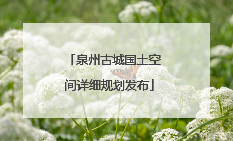 泉州古城国土空间详细规划发布