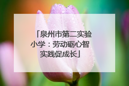 泉州市第二实验小学：劳动砺心智实践促成长