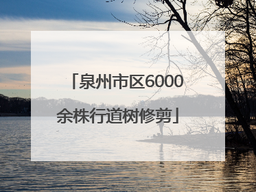 泉州市区6000余株行道树修剪