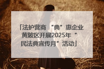 法护营商 “典”惠企业 黄陂区开展2025年“民法典宣传月”活动