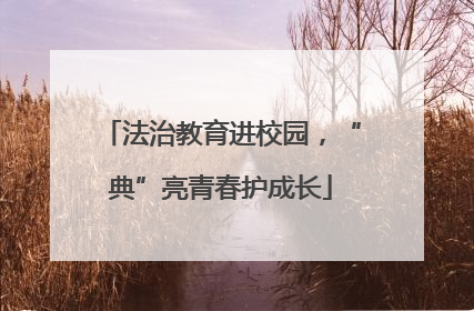 法治教育进校园，“典”亮青春护成长
