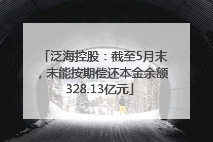 泛海控股：截至5月末，未能按期偿还本金余额328.13亿元